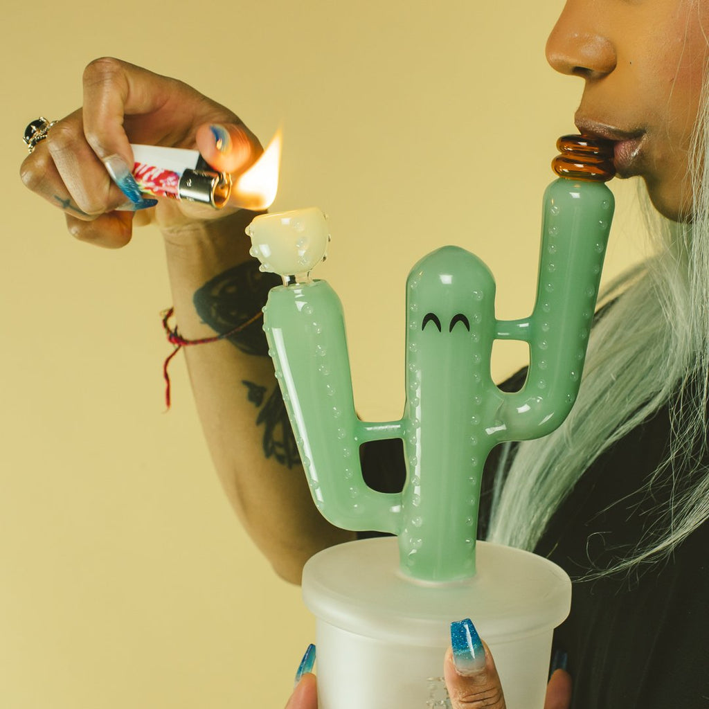 Expression • Cactus Jack XL • Hemper
