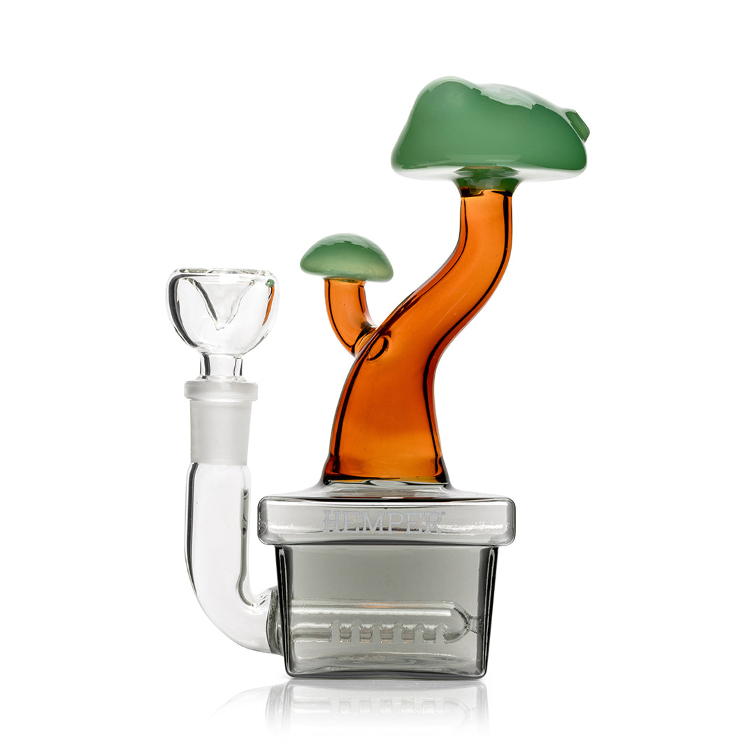 Expression • Bonsai • Hemper