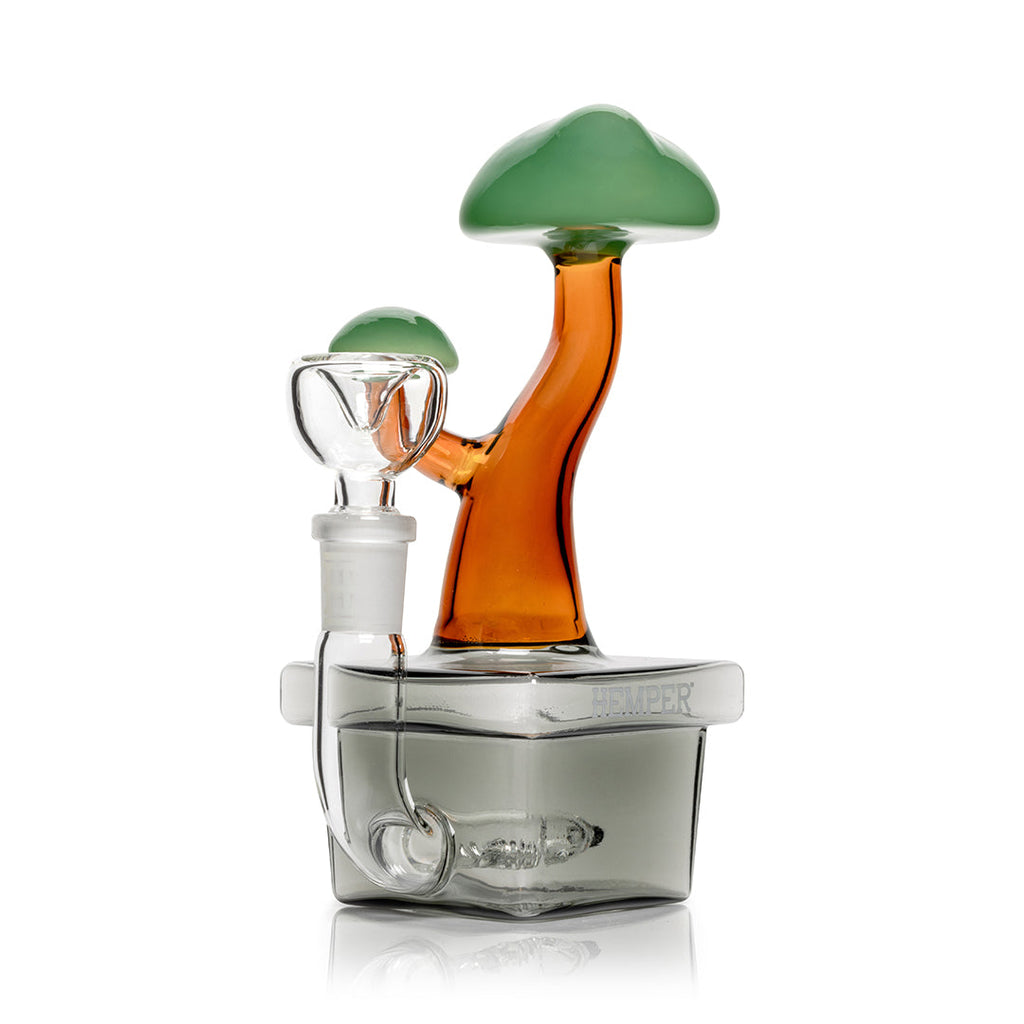 Expression • Bonsai • Hemper