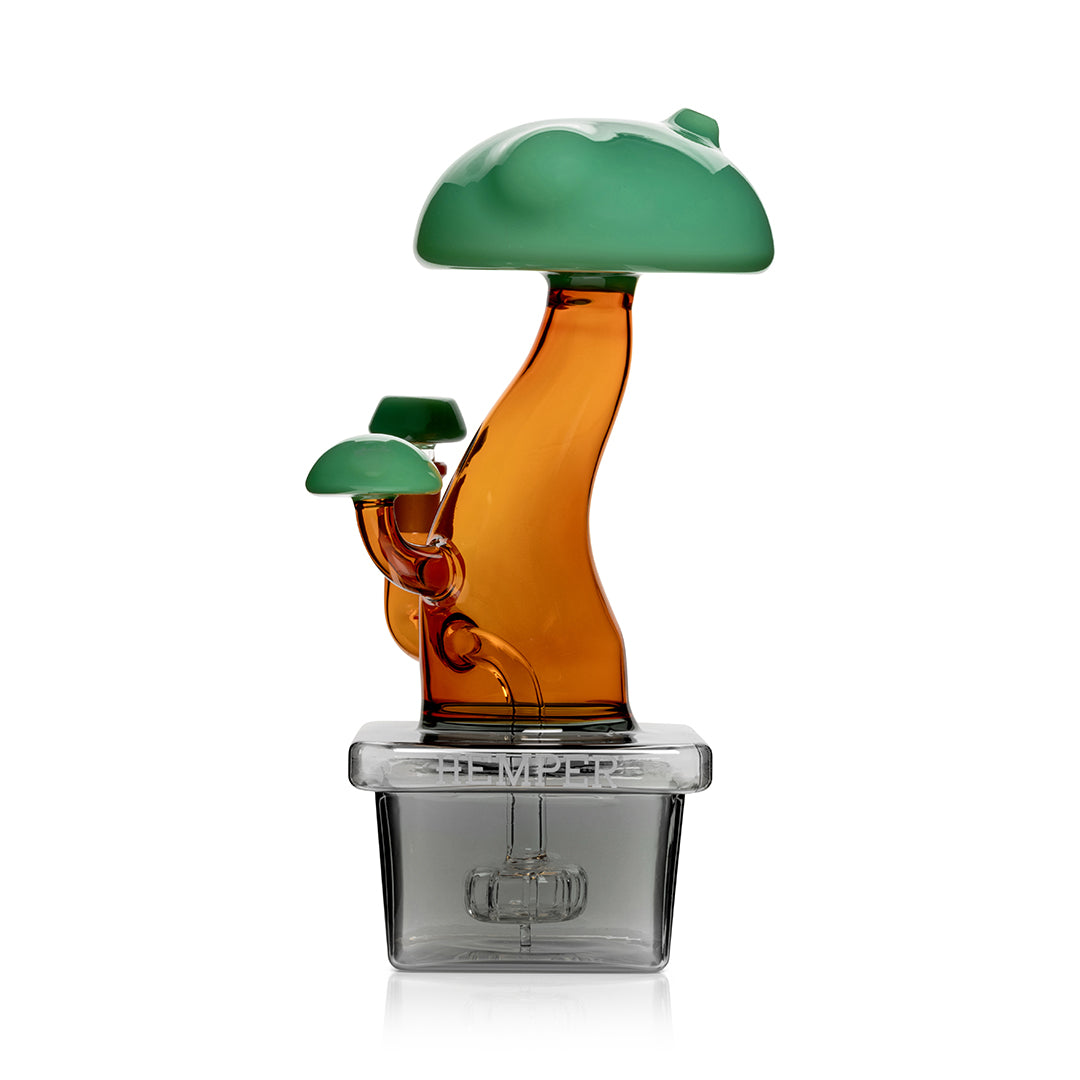 Expression • Bonsai XL • Hemper