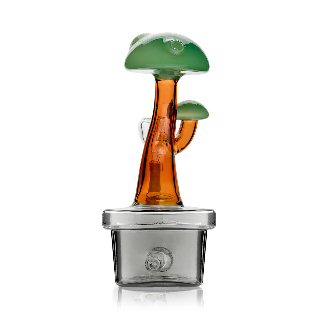 Expression • Bonsai • Hemper