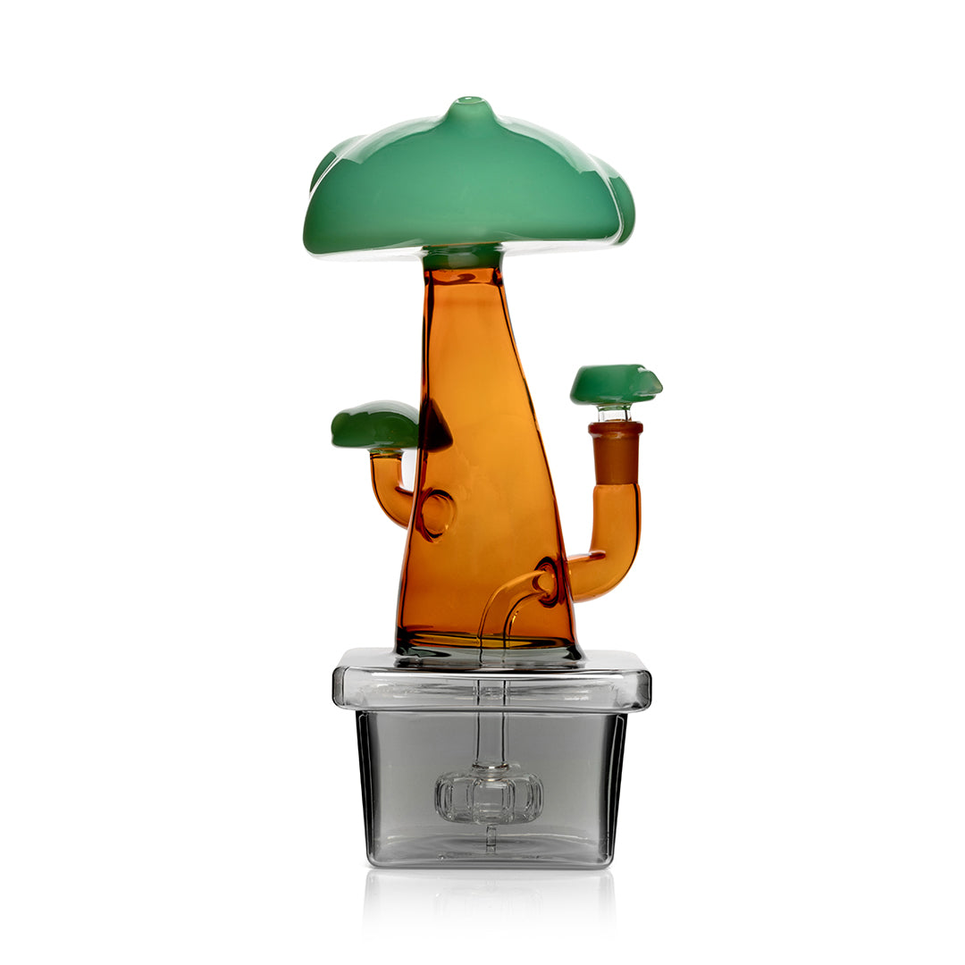 Expression • Bonsai XL • Hemper