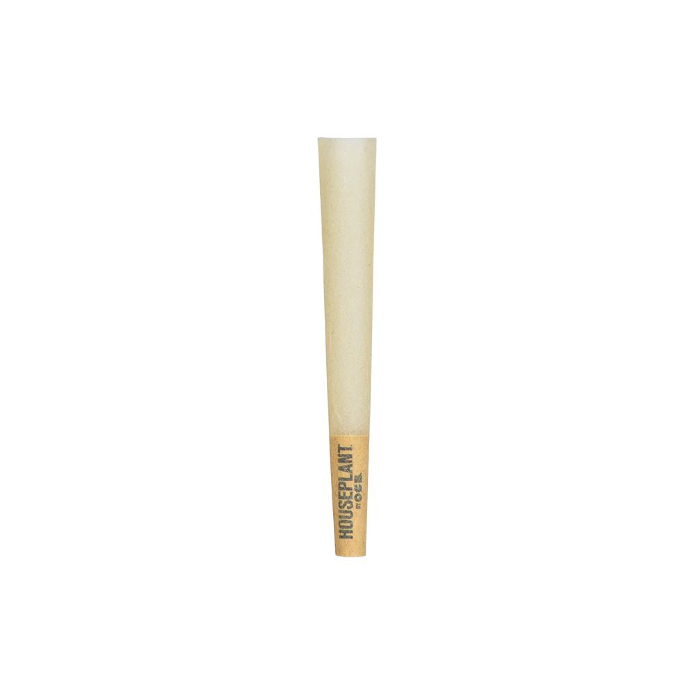 Houseplant by OCB Cones • Bamboo •  Display • Case of 32 • $3.37 per pack