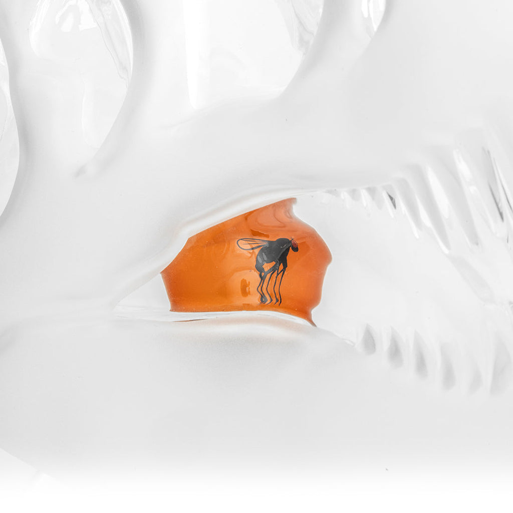 Expression • Jurassic Skull XL • Hemper