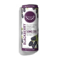 Wyld CBD Blackberry Sparkling Water can on a white background