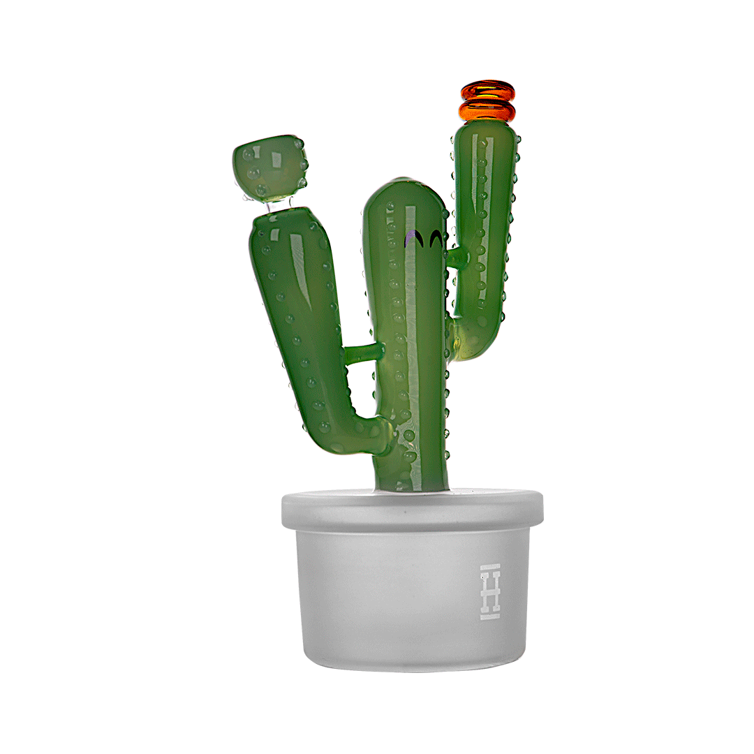 Expression • Cactus Jack XL • Hemper