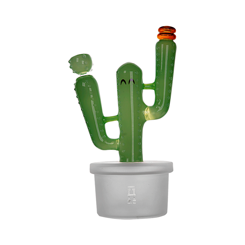 Expression • Cactus Jack XL • Hemper