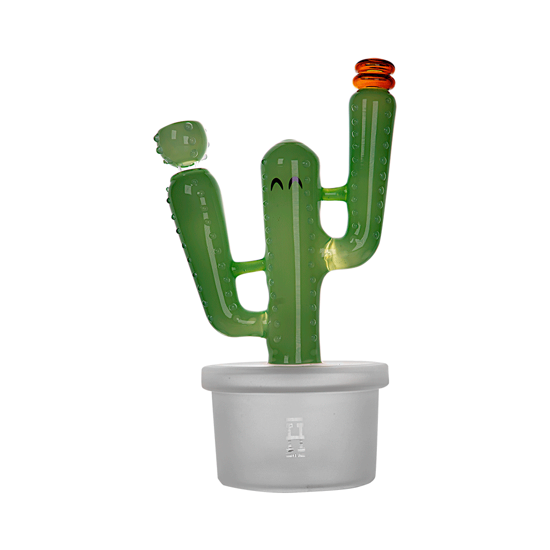 Expression • Cactus Jack XL • Hemper