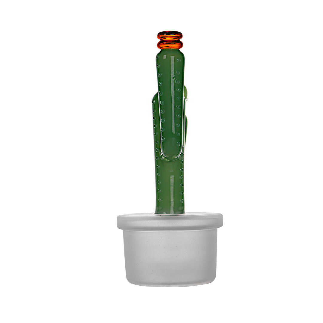 Expression • Cactus Jack XL • Hemper