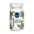 Wyld CBD Huckleberry Gummies bottle on a white background